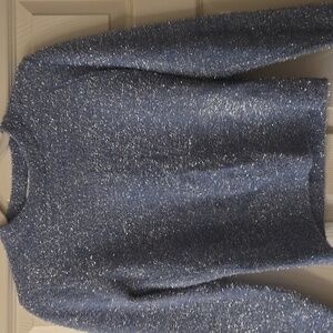 Glittery sweater